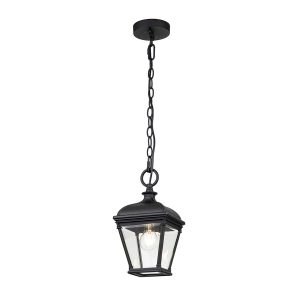 Bayview 1 light Georgian style hanging porch lantern in black on white background, full height