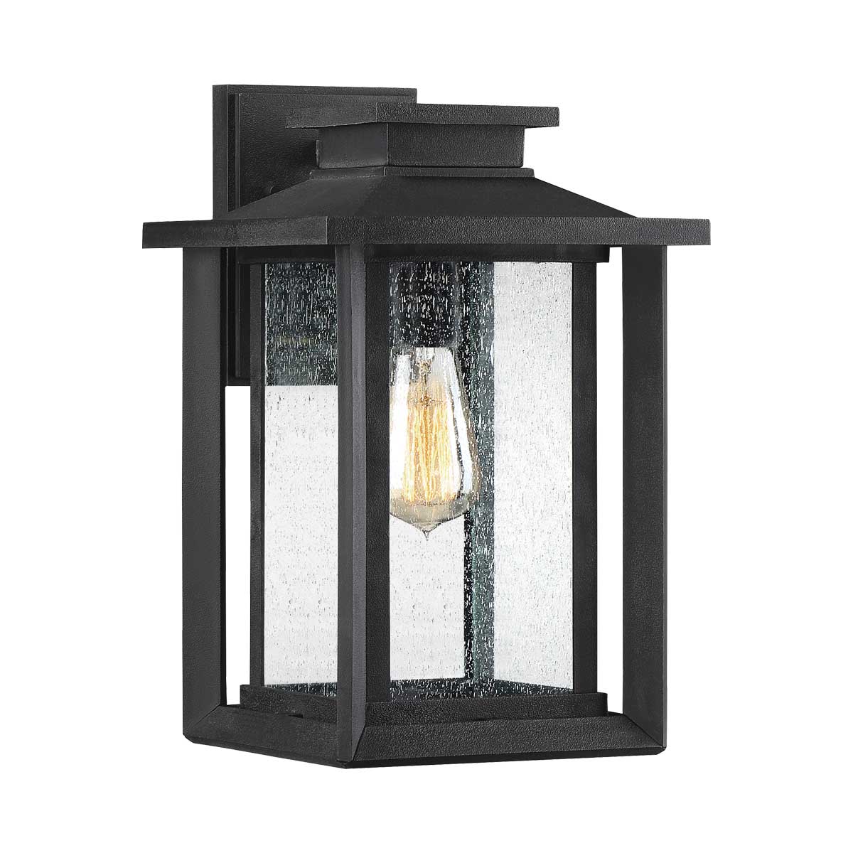 Wakefield 1 Light Medium Outdoor Wall Lantern In Earth Black