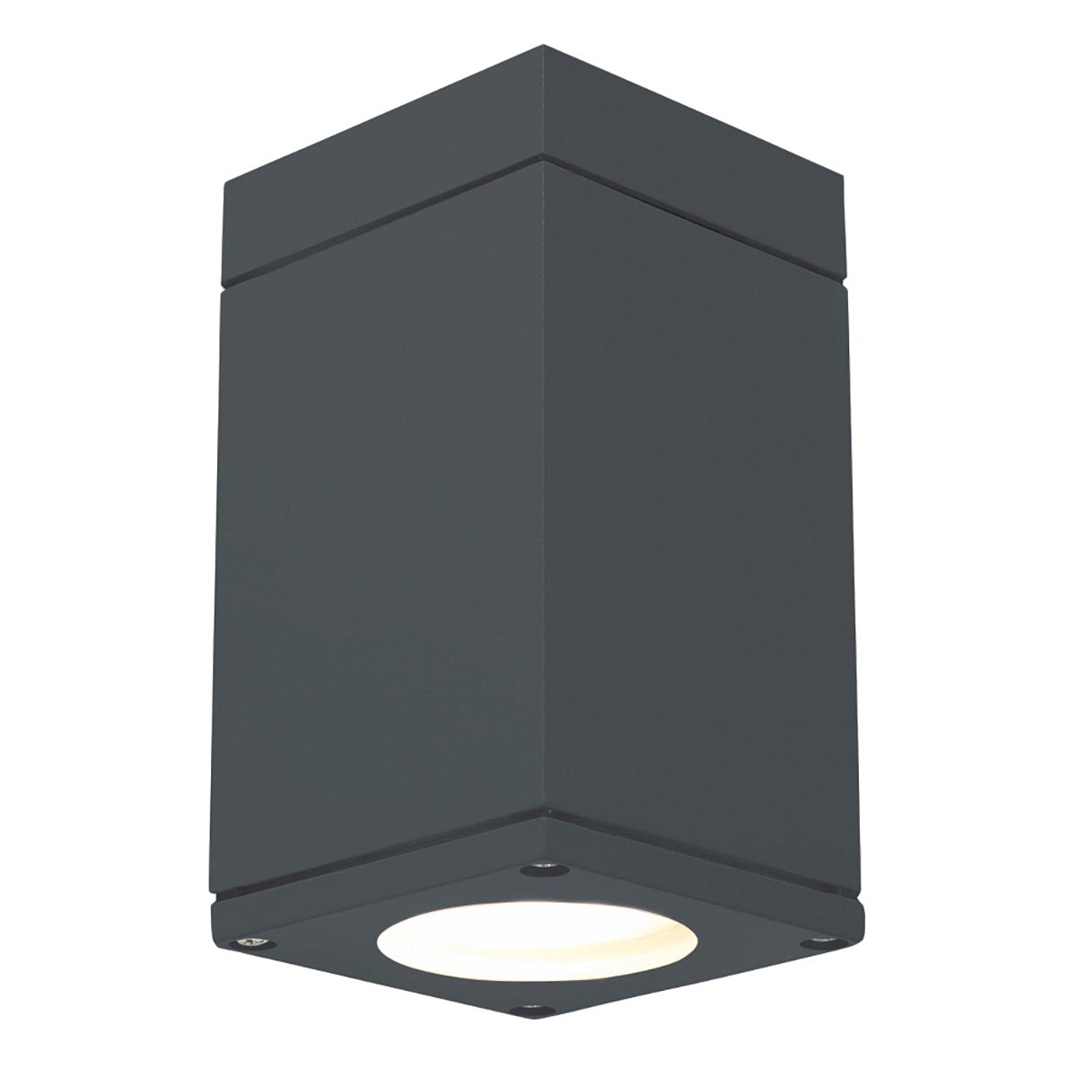 Sandvik 1 Light Modern Outdoor Porch Ceiling Light Graphite